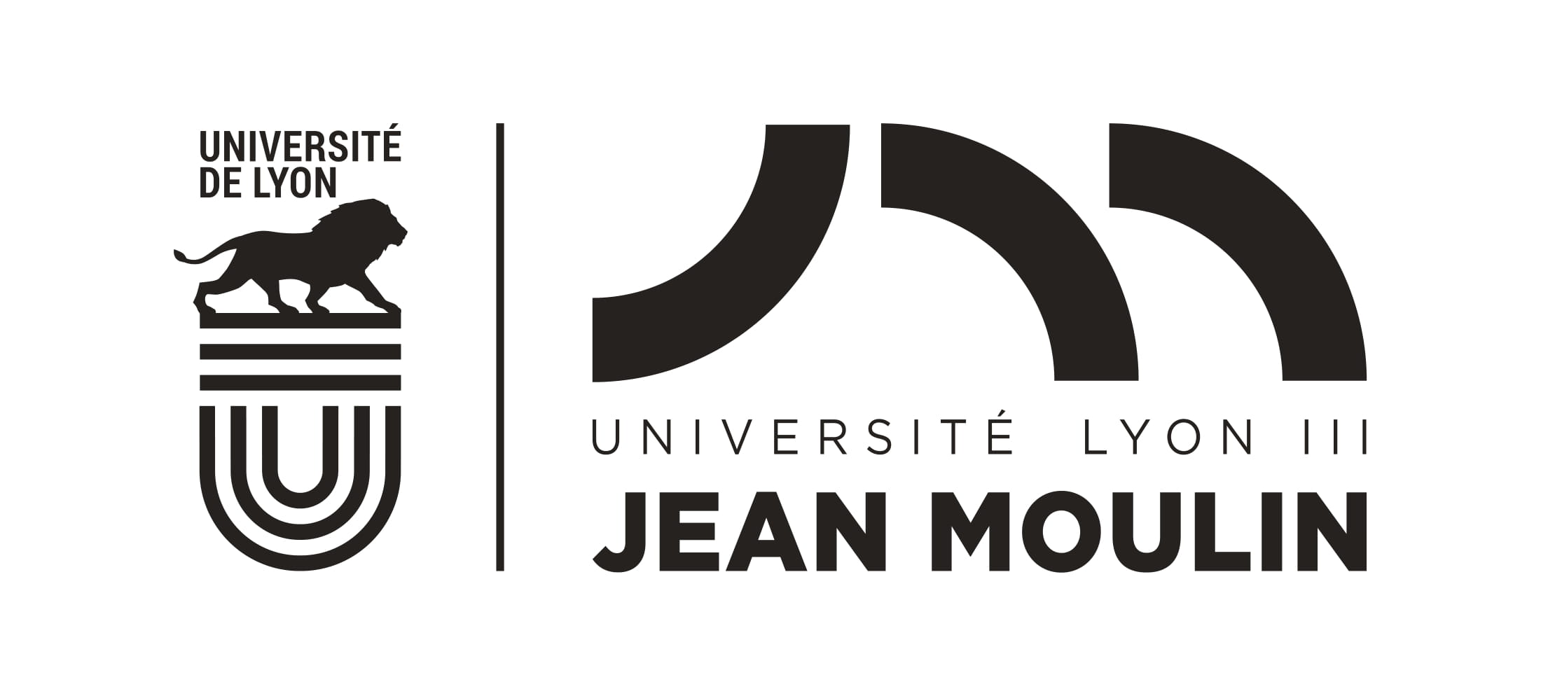 iae Lyon université